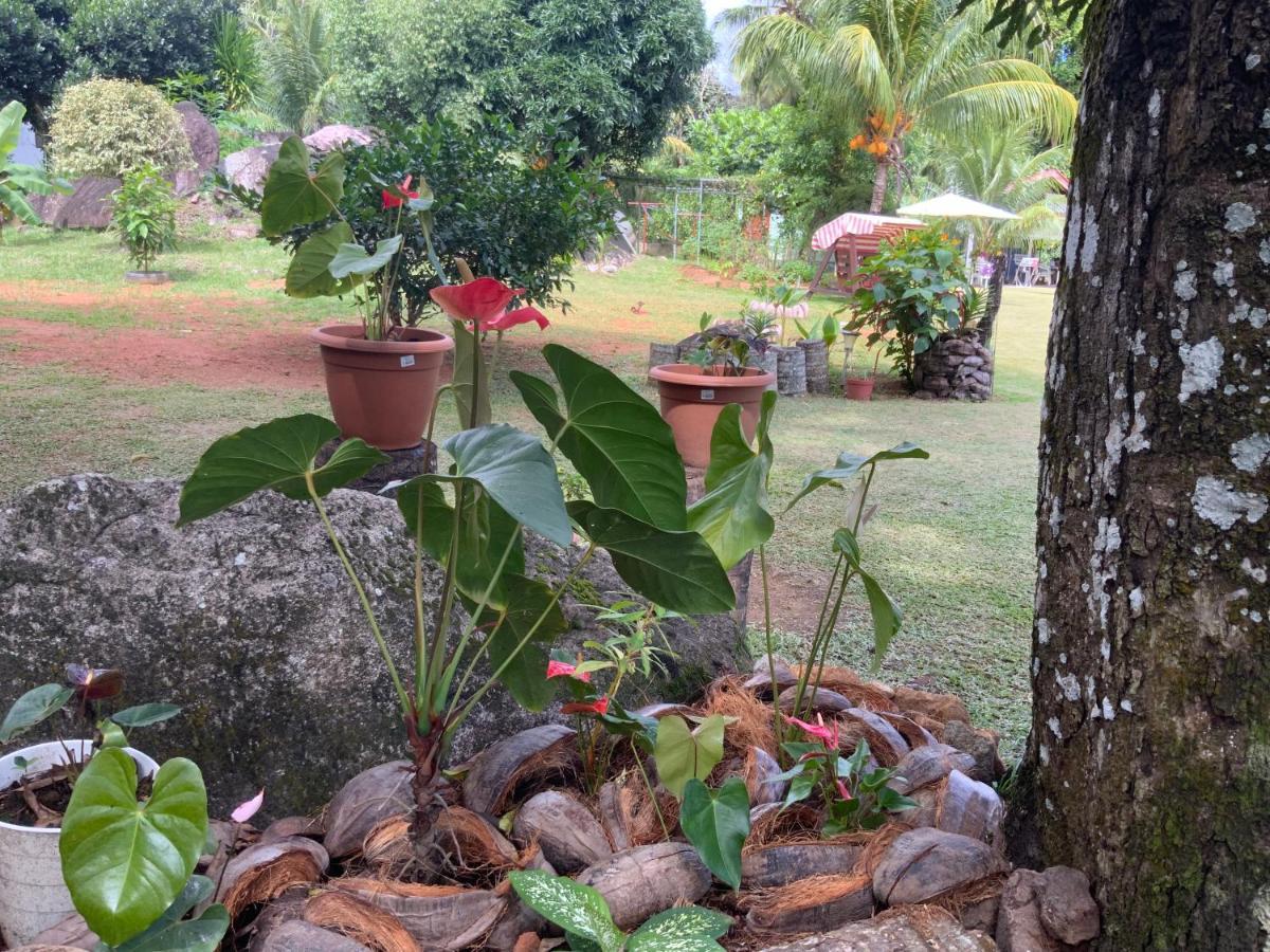 The Orchard Holiday Home Grand Anse  ภายนอก รูปภาพ