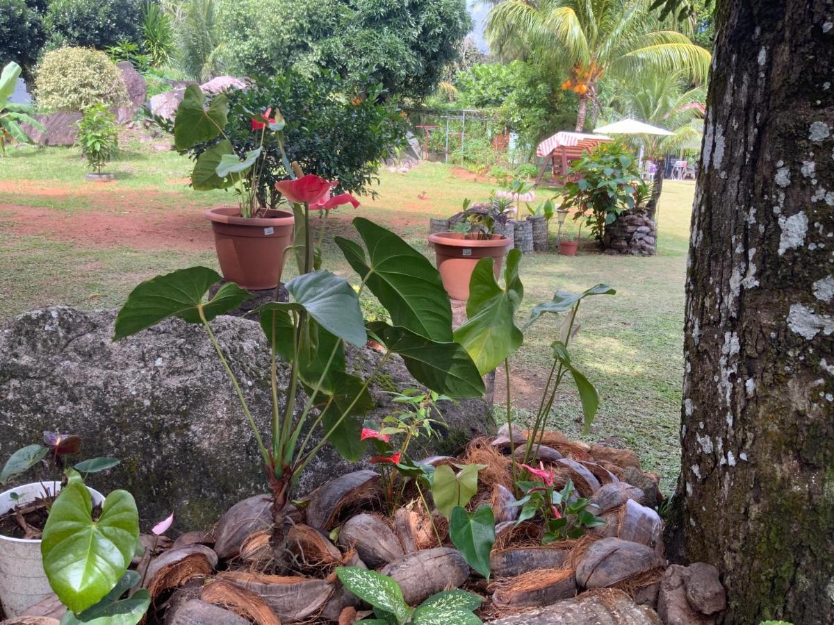 The Orchard Holiday Home Grand Anse  ภายนอก รูปภาพ