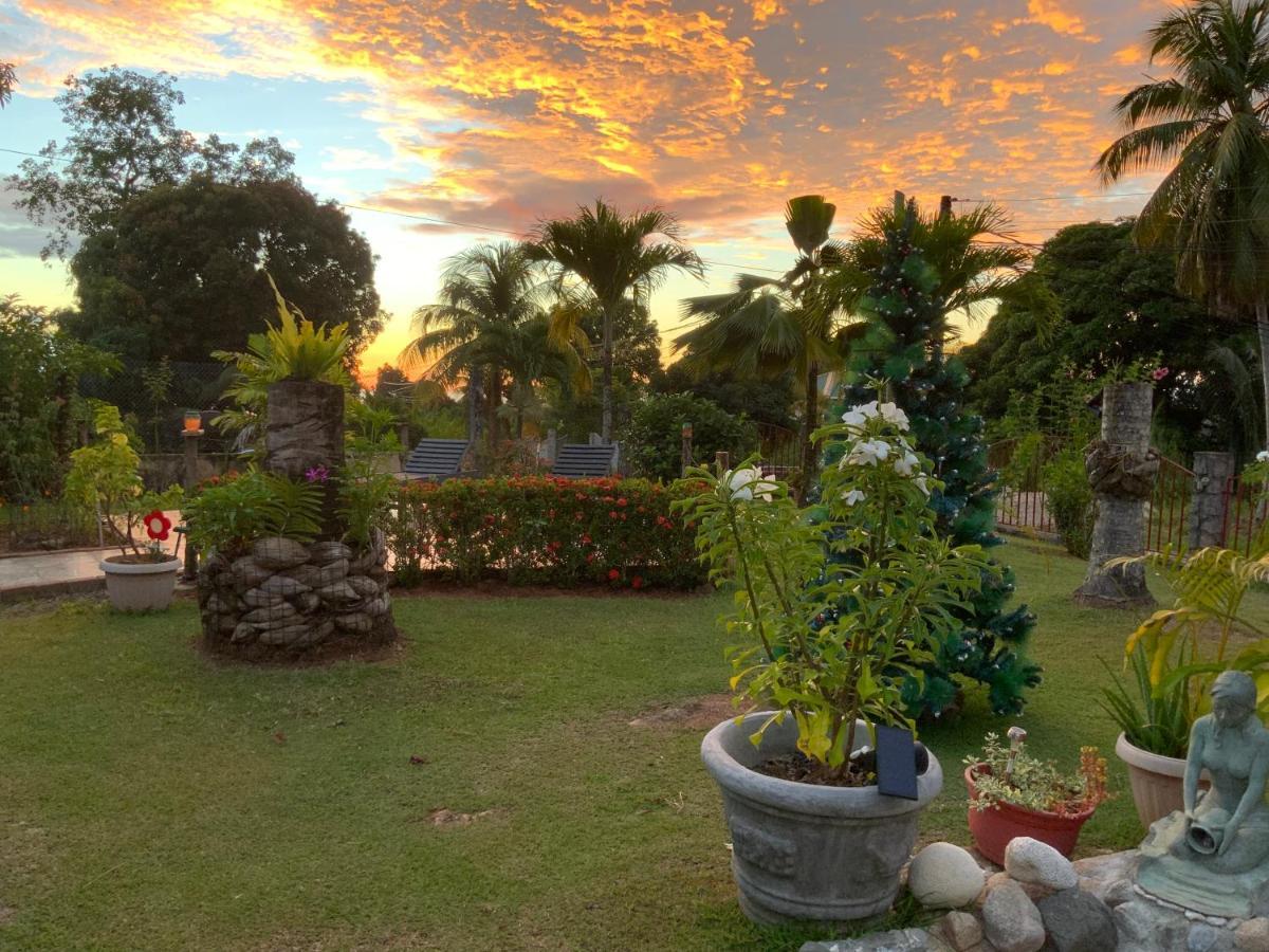 The Orchard Holiday Home Grand Anse  ภายนอก รูปภาพ