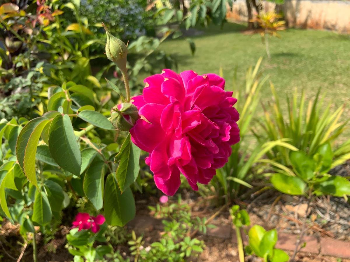 The Orchard Holiday Home Grand Anse  ภายนอก รูปภาพ