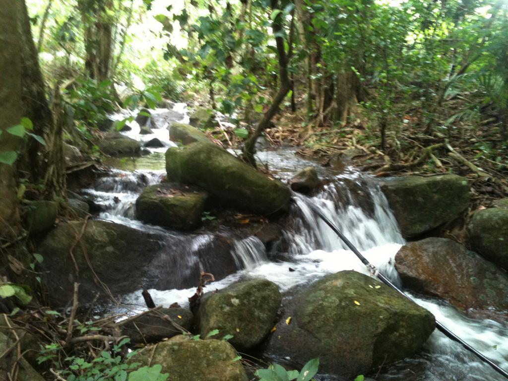 The Orchard Holiday Home Grand Anse  ภายนอก รูปภาพ