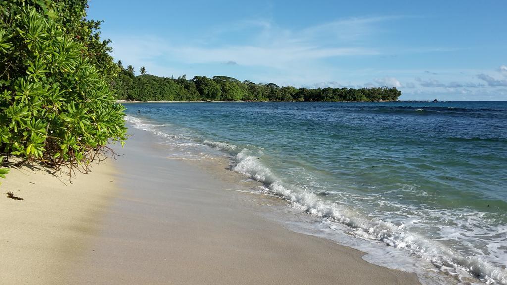 The Orchard Holiday Home Grand Anse  ภายนอก รูปภาพ