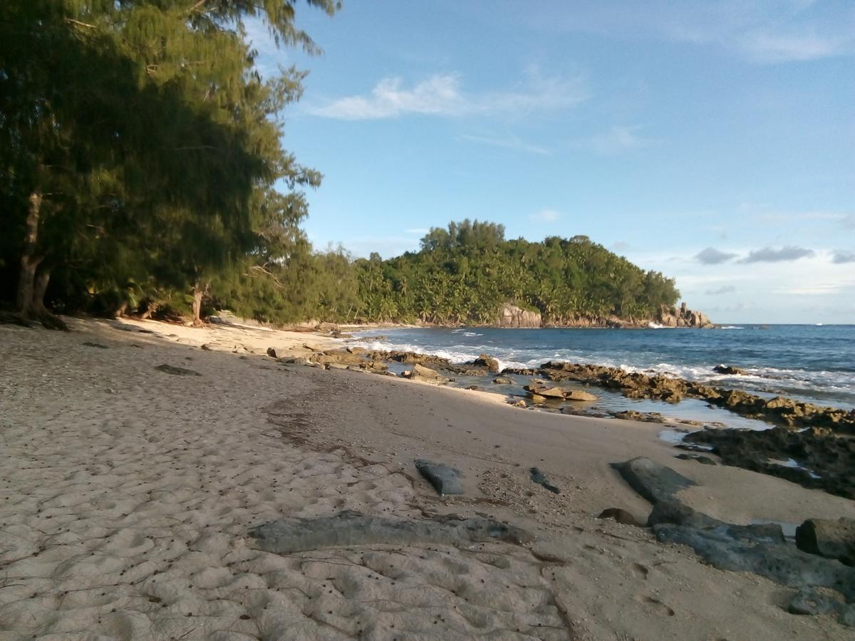 The Orchard Holiday Home Grand Anse  ภายนอก รูปภาพ
