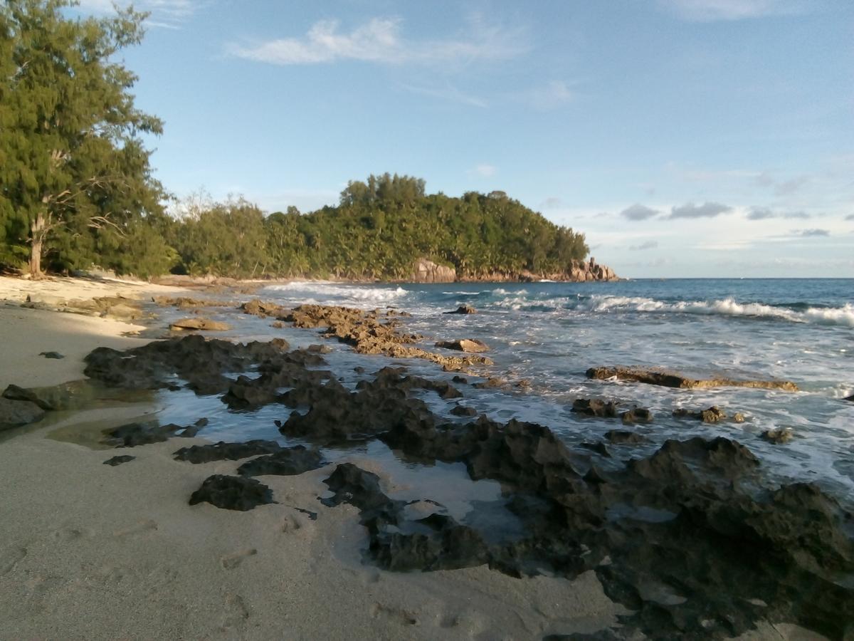 The Orchard Holiday Home Grand Anse  ภายนอก รูปภาพ