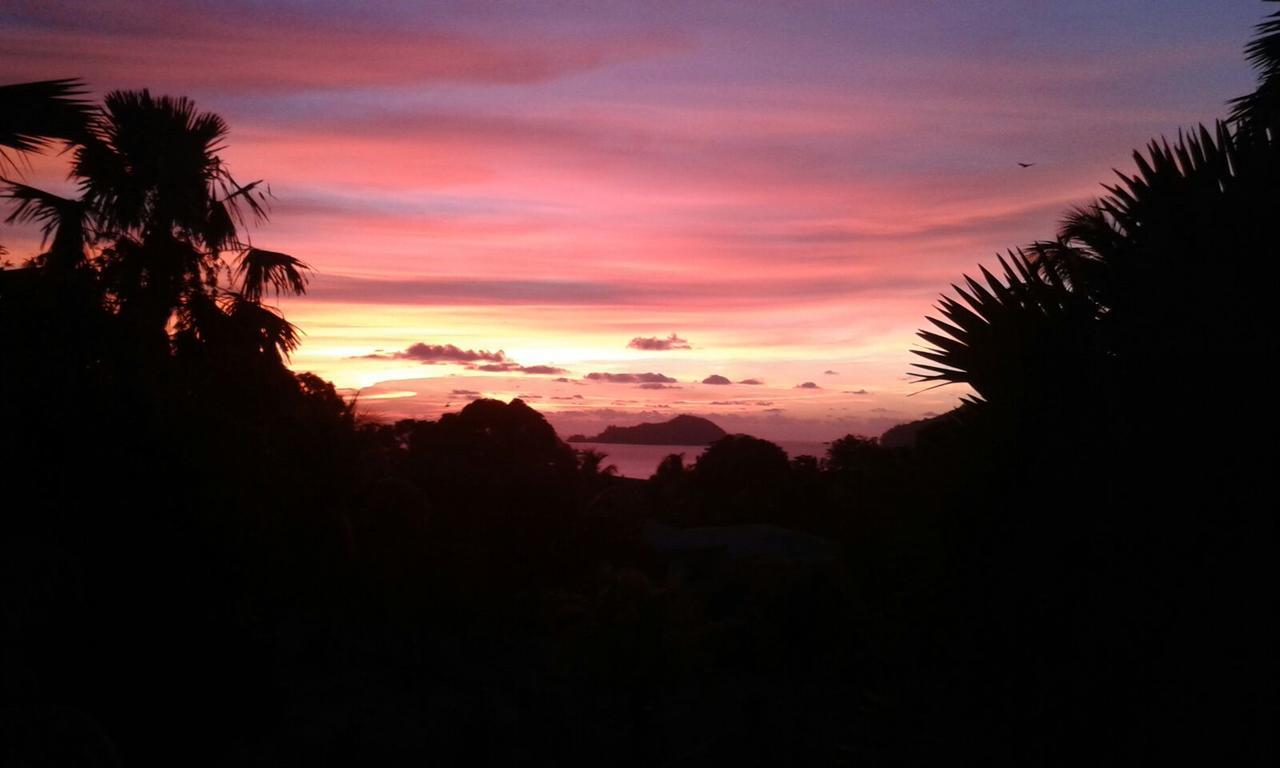 The Orchard Holiday Home Grand Anse  ภายนอก รูปภาพ